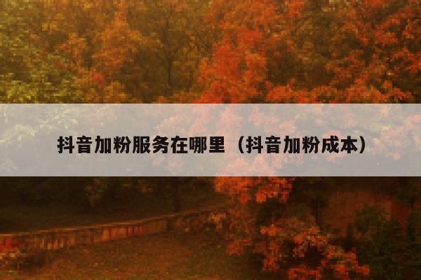 抖音加粉服务在哪里（抖音加粉成本） 第1张