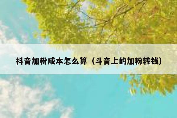 抖音加粉成本怎么算（斗音上的加粉转钱） 第1张