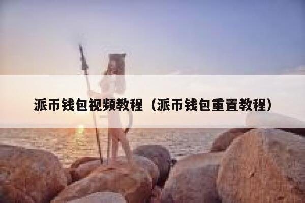 派币钱包视频教程（派币钱包重置教程） 第1张
