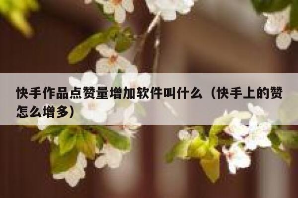 快手作品点赞量增加软件叫什么（快手上的赞怎么增多） 第1张