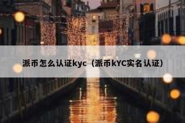 派币怎么认证kyc（派币kYC实名认证） 第1张