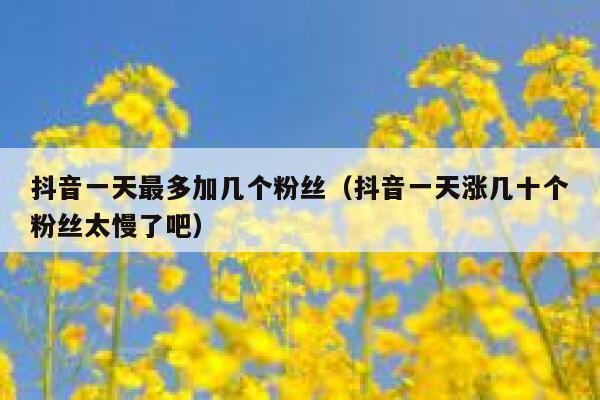 抖音一天最多加几个粉丝（抖音一天涨几十个粉丝太慢了吧） 第1张
