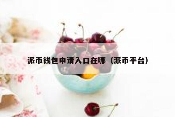 派币钱包申请入口在哪（派币平台） 第1张
