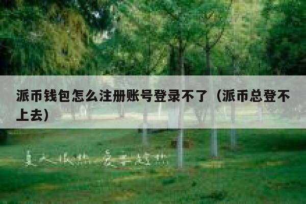 派币钱包怎么注册账号登录不了（派币总登不上去） 第1张