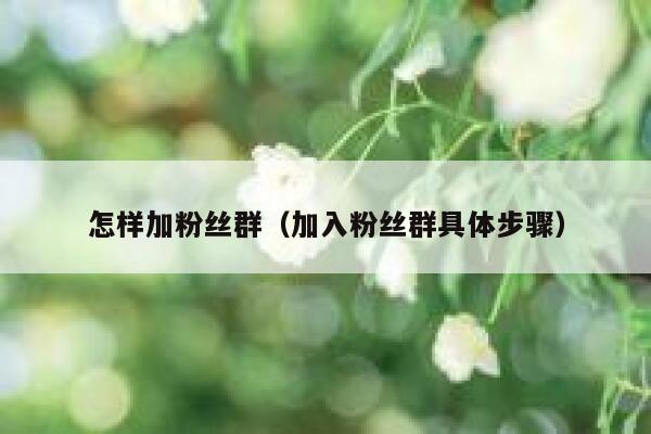 怎样加粉丝群(加入粉丝群具体步骤) 第1张 怎样加粉丝群(加入粉丝群具体步骤) 第1张