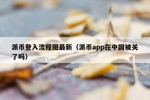 派币登入流程图最新（派币app在中国被关了吗） 第1张