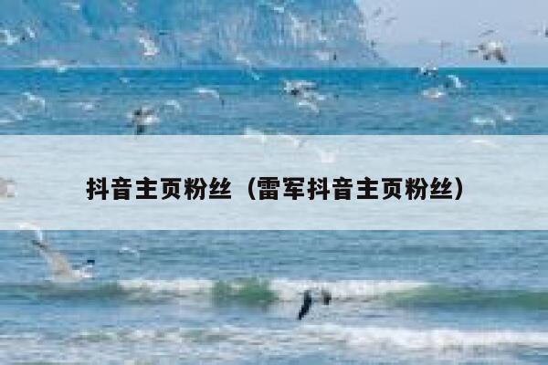 抖音主页粉丝（雷军抖音主页粉丝） 第1张