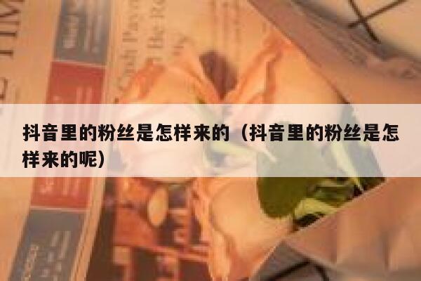 抖音里的粉丝是怎样来的（抖音里的粉丝是怎样来的呢） 第1张