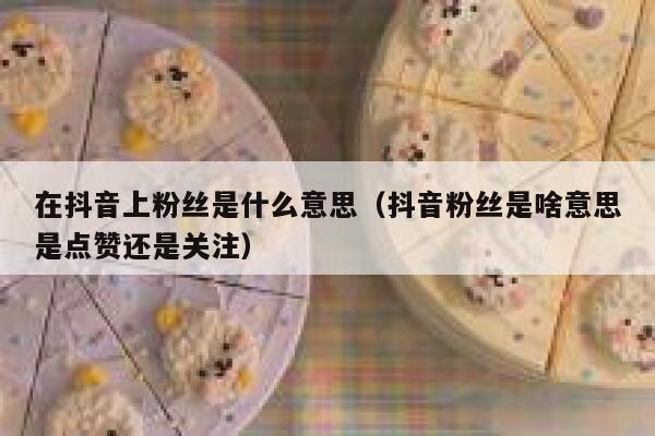 在抖音上粉丝是什么意思（抖音粉丝是啥意思是点赞还是关注） 第1张