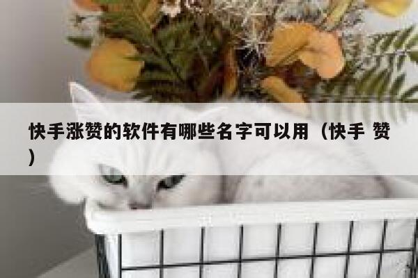 快手涨赞的软件有哪些名字可以用（快手 赞） 第1张