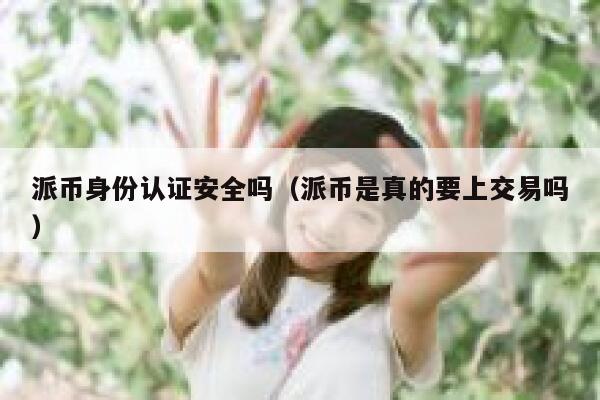 派币身份认证安全吗（派币是真的要上交易吗） 第1张