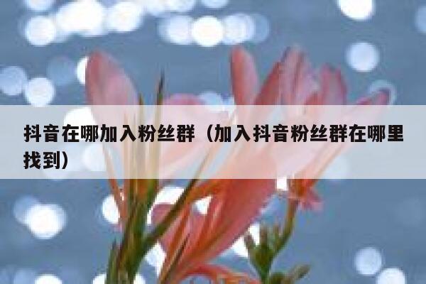 抖音在哪加入粉丝群（加入抖音粉丝群在哪里找到） 第1张