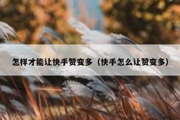 怎样才能让快手赞变多(快手怎么让赞变多) 第1张 怎样才能让快手赞变多(快手怎么让赞变多) 第1张