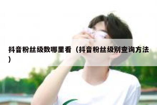 抖音粉丝级数哪里看(抖音粉丝级别查询方法) 第1张 抖音粉丝级数哪里看(抖音粉丝级别查询方法) 第1张