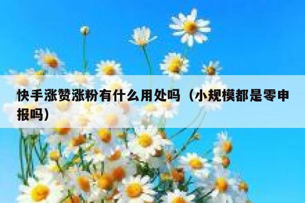 快手涨赞涨粉有什么用处吗（小规模都是零申报吗） 第1张