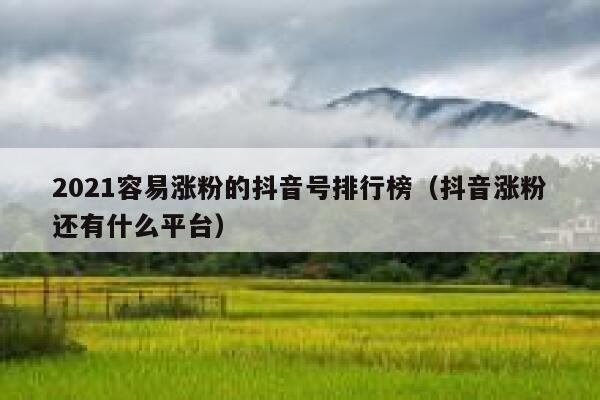 2021容易涨粉的抖音号排行榜(抖音涨粉还有什么平台) 第1张 2021容易涨粉的抖音号排行榜(抖音涨粉还有什么平台) 第1张
