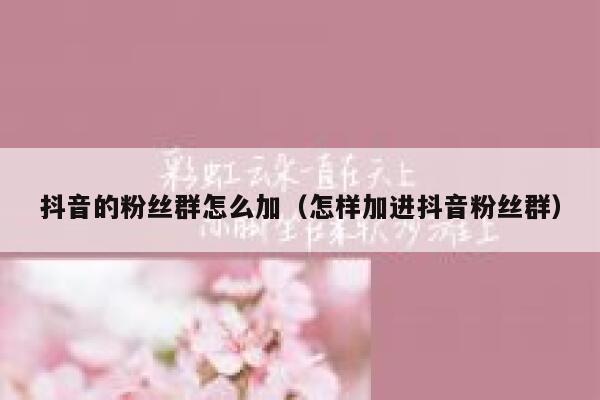 抖音的粉丝群怎么加（怎样加进抖音粉丝群） 第1张