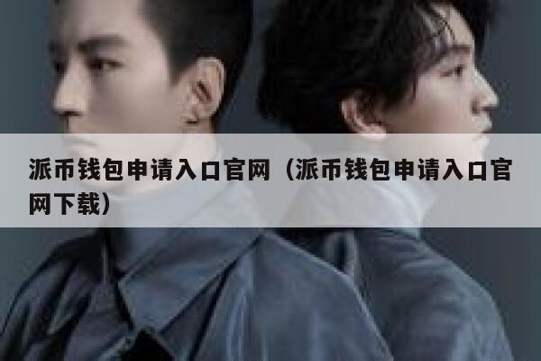 派币钱包申请入口官网（派币钱包申请入口官网下载） 第1张