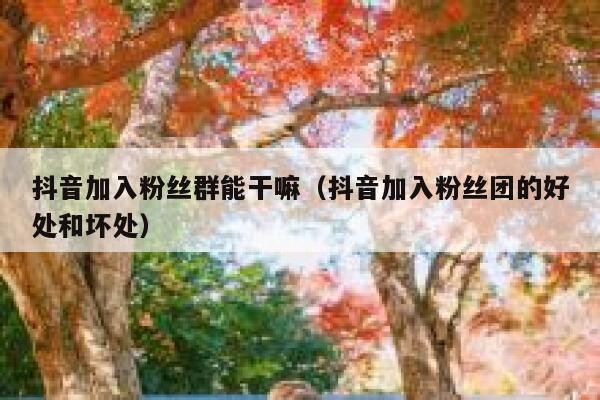 抖音加入粉丝群能干嘛（抖音加入粉丝团的好处和坏处） 第1张