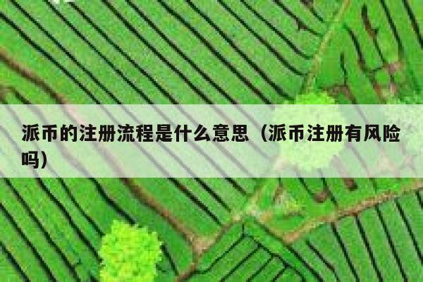 派币的注册流程是什么意思（派币注册有风险吗） 第1张