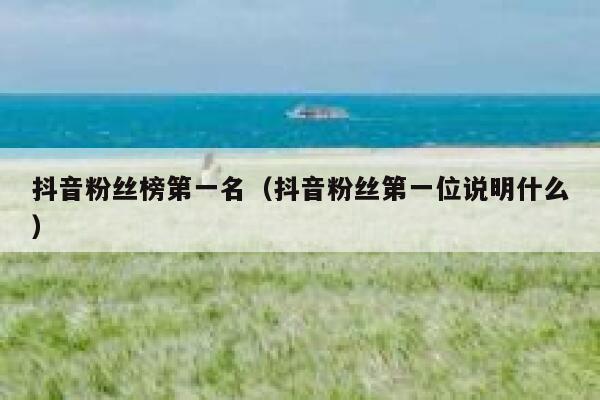 抖音粉丝榜第一名（抖音粉丝第一位说明什么） 第1张