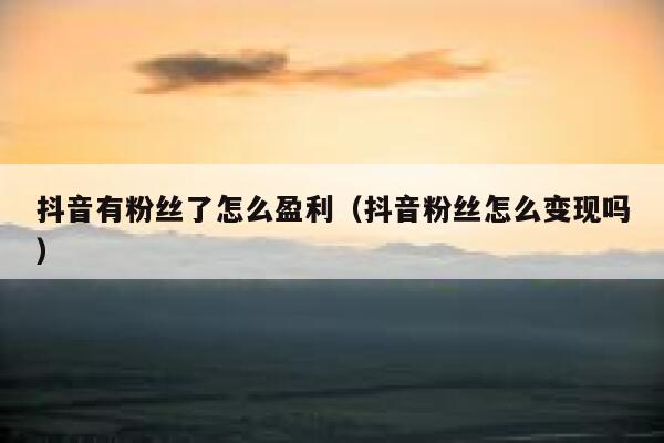 抖音有粉丝了怎么盈利（抖音粉丝怎么变现吗） 第1张