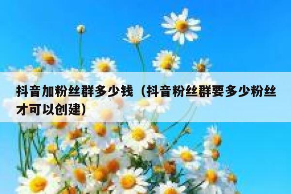 抖音加粉丝群多少钱（抖音粉丝群要多少粉丝才可以创建） 第1张