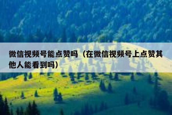 微信视频号能点赞吗（在微信视频号上点赞其他人能看到吗） 第1张