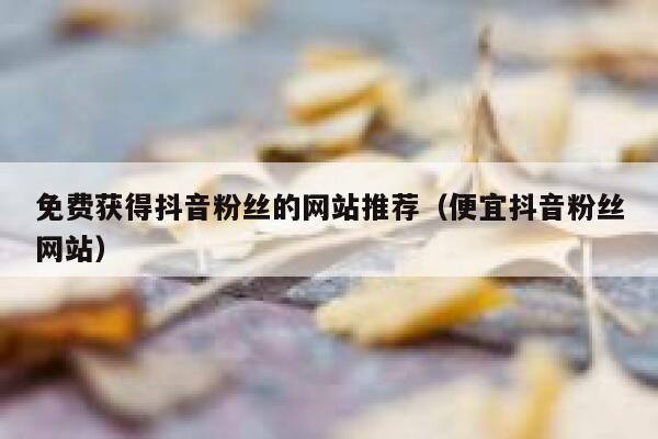 免费获得抖音粉丝的网站推荐（便宜抖音粉丝网站） 第1张