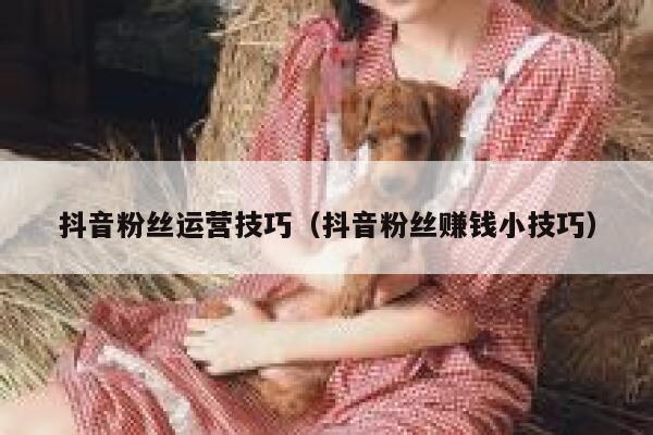 抖音粉丝运营技巧（抖音粉丝赚钱小技巧） 第1张