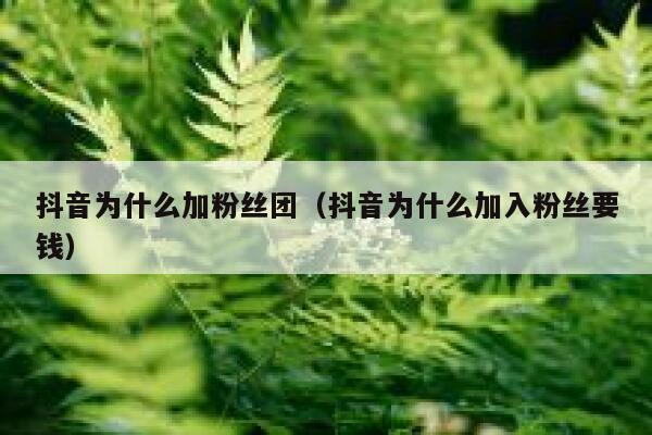 抖音为什么加粉丝团（抖音为什么加入粉丝要钱） 第1张