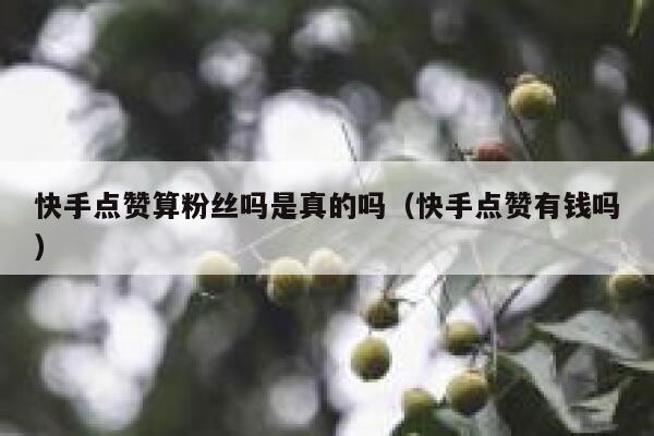 快手点赞算粉丝吗是真的吗（快手点赞有钱吗） 第1张