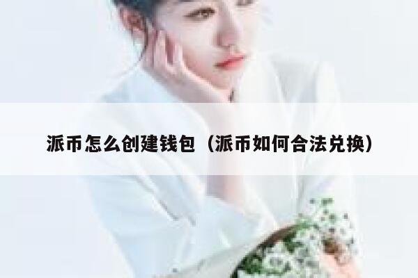 派币怎么创建钱包（派币如何合法兑换） 第1张