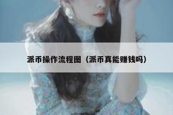 派币操作流程图（派币真能赚钱吗） 第1张
