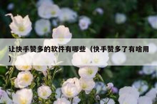 让快手赞多的软件有哪些（快手赞多了有啥用） 第1张