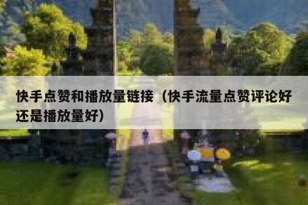 快手点赞和播放量链接（快手流量点赞评论好还是播放量好） 第1张