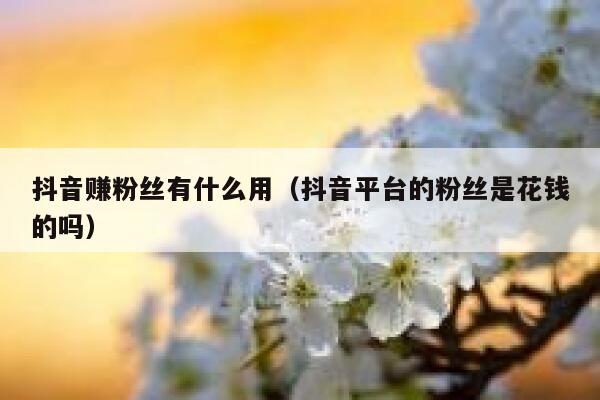抖音赚粉丝有什么用（抖音平台的粉丝是花钱的吗） 第1张