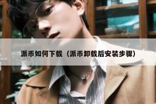 派币如何下载（派币卸载后安装步骤） 第1张