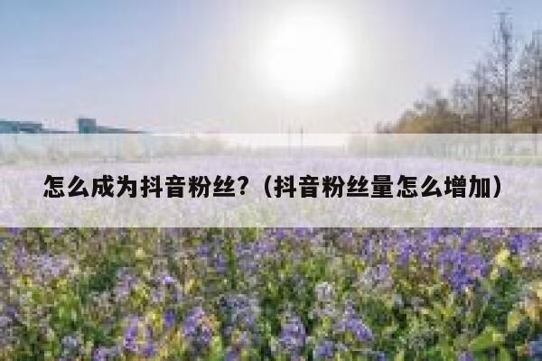 怎么成为抖音粉丝?（抖音粉丝量怎么增加） 第1张