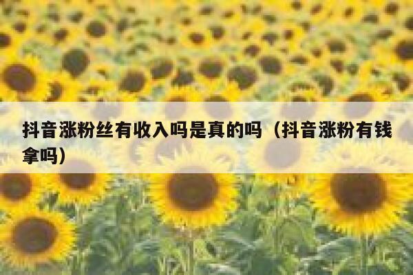 抖音涨粉丝有收入吗是真的吗（抖音涨粉有钱拿吗） 第1张