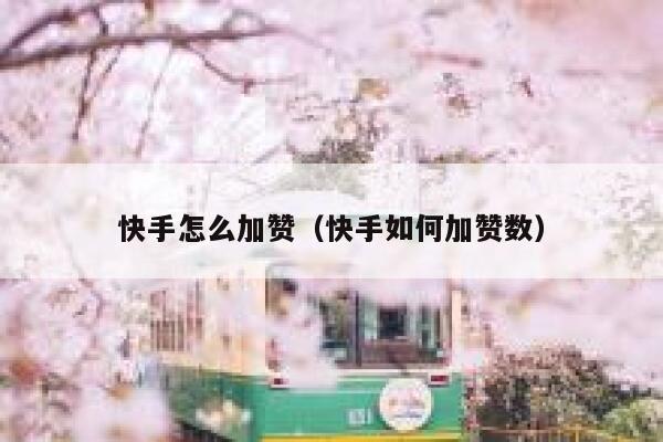 快手怎么加赞(快手如何加赞数) 第1张 快手怎么加赞(快手如何加赞数) 第1张