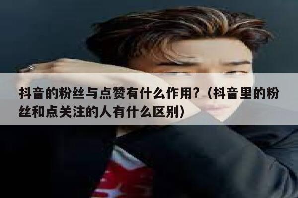 抖音的粉丝与点赞有什么作用?（抖音里的粉丝和点关注的人有什么区别） 第1张