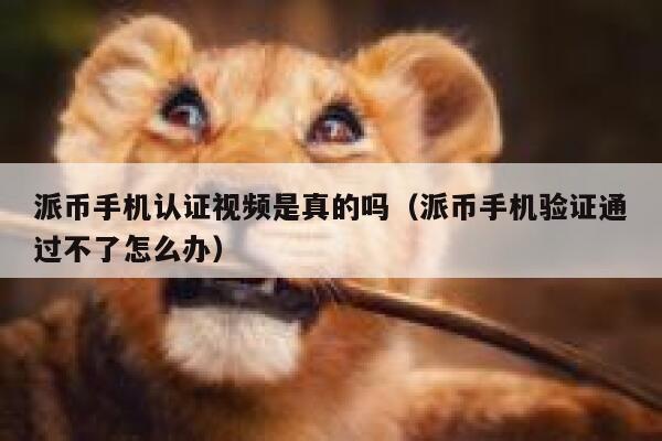 派币手机认证视频是真的吗（派币手机验证通过不了怎么办） 第1张