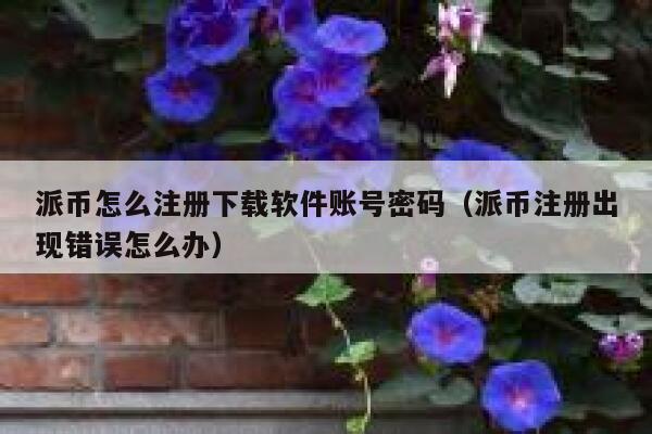 派币怎么注册下载软件账号密码(派币注册出现错误怎么办) 第1张 派币怎么注册下载软件账号密码(派币注册出现错误怎么办) 第1张