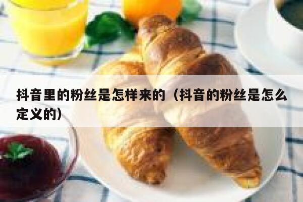抖音里的粉丝是怎样来的(抖音的粉丝是怎么定义的) 第1张 抖音里的粉丝是怎样来的(抖音的粉丝是怎么定义的) 第1张