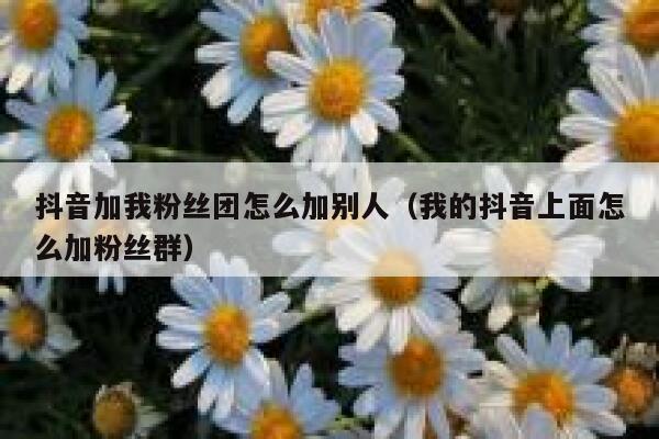 抖音加我粉丝团怎么加别人（我的抖音上面怎么加粉丝群） 第1张