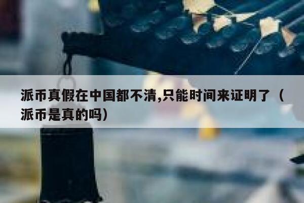 派币真假在中国都不清,只能时间来证明了(派币是真的吗) 第1张 派币真假在中国都不清,只能时间来证明了(派币是真的吗) 第1张