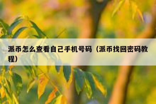 派币怎么查看自己手机号码（派币找回密码教程） 第1张