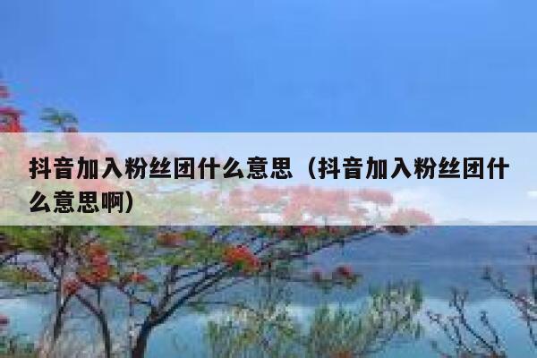 抖音加入粉丝团什么意思(抖音加入粉丝团什么意思啊) 第1张 抖音加入粉丝团什么意思(抖音加入粉丝团什么意思啊) 第1张