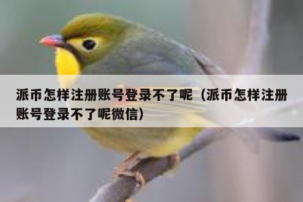 派币怎样注册账号登录不了呢（派币怎样注册账号登录不了呢微信） 第1张